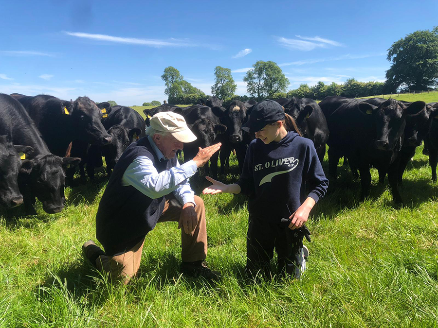 beef photo competition