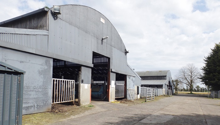 What's happening at the ICBF Tully Research Centre?