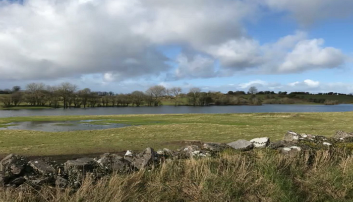 The Importance of Wetlands