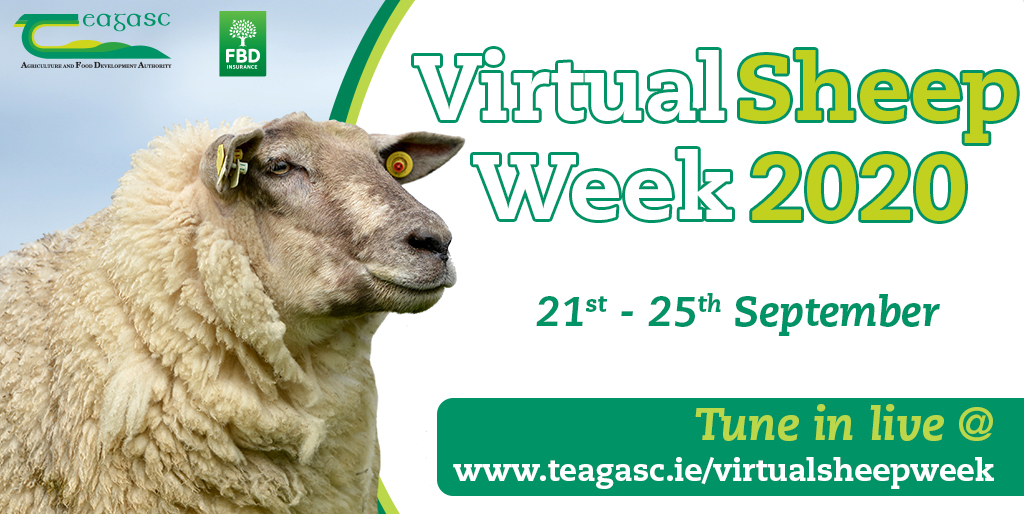 Teagasc Virtual Sheep Week
