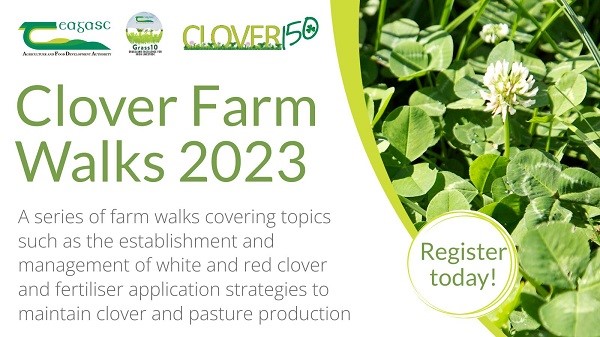 Upcoming Grass10 Clover Walks