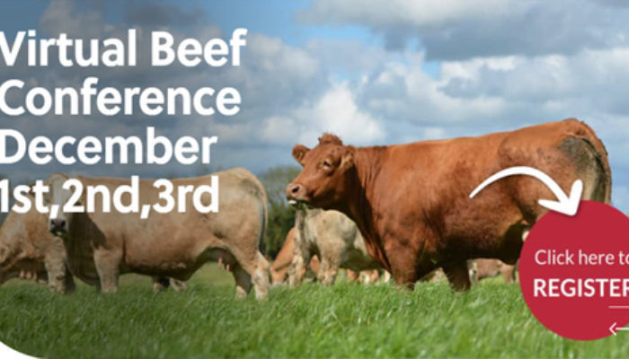 Teagasc National Beef Conference goes virtual