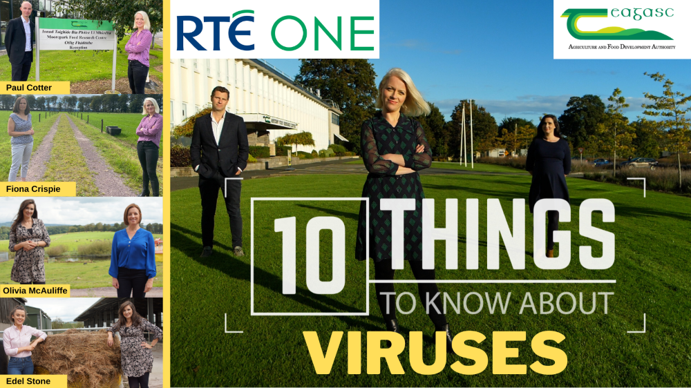 10 Things to Know About … Viruses