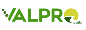 Valpro Path logo