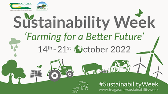View Sustainability Week events here