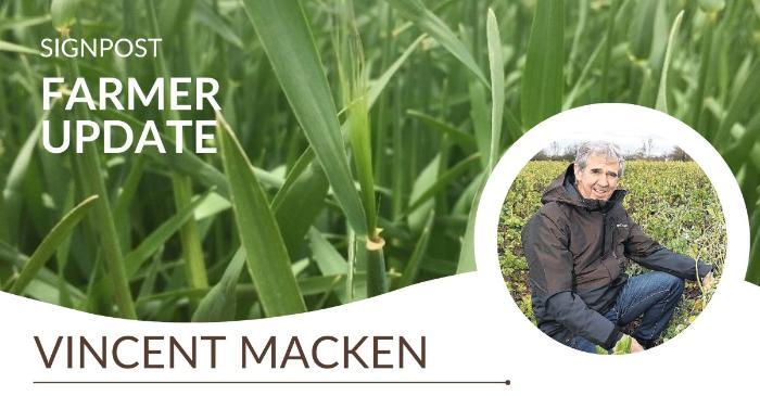 Vincent Macken’s reflections after a ‘whirlwind’ year for tillage farming
