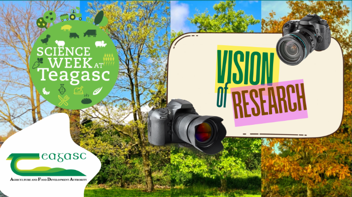 Banner image for event with images of cameras and photography from previous event