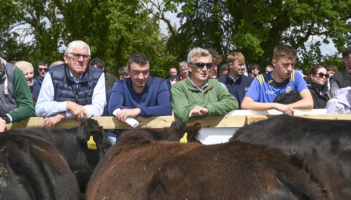 Target of €50 profit per hour worked at Tipperary Dairy Calf to Beef Demo Farm