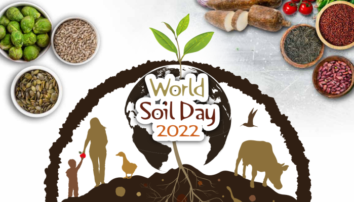 World Soil Day 2022 - Soils: where food begins