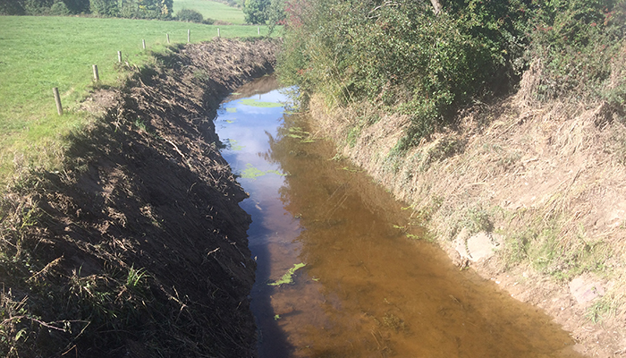 Reducing Phosphorus Loss to Water