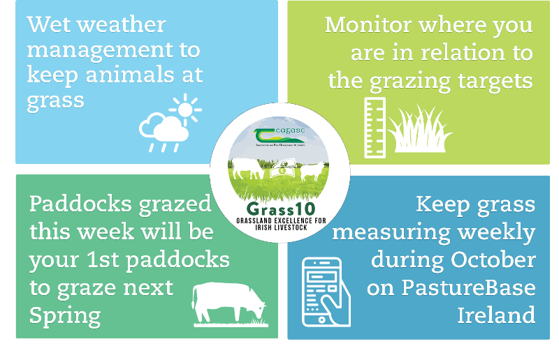 Grass 10 weekly checklist  details in text below