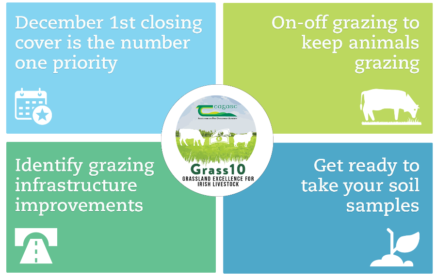 Grass10 Weekly Checklist details in text below