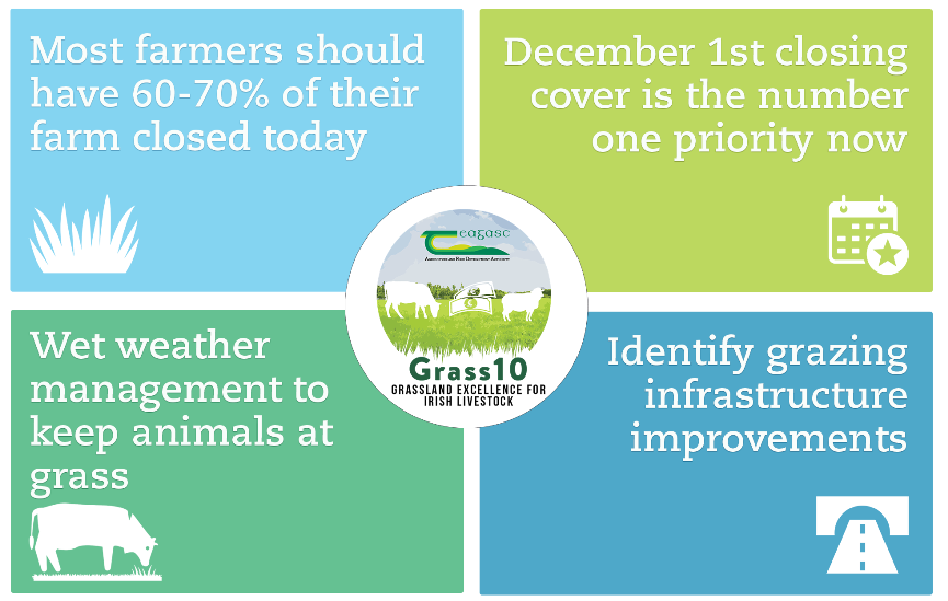 Grass19 weekly tips checklist Nov 1st details in text below