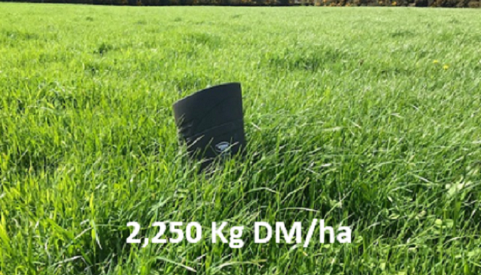 Grass10 Newsletter - 17th May 2022