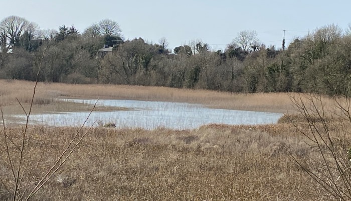 Wetlands and Water