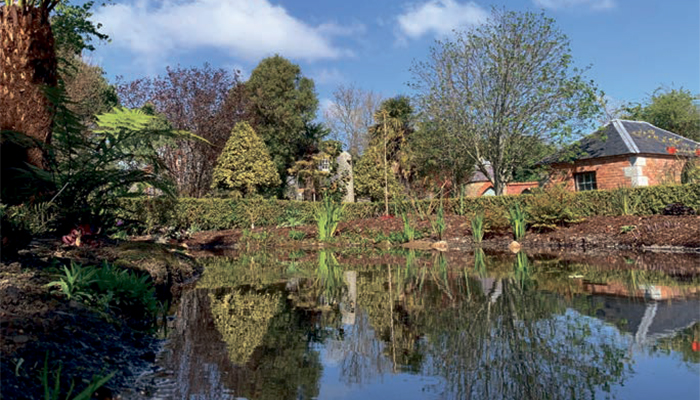 Treat yourself to a wildlife pond