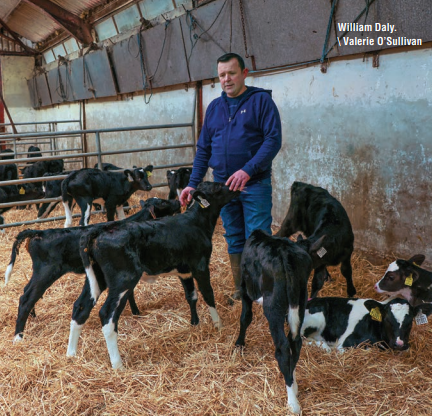 William Daly pictured with calves on his farm