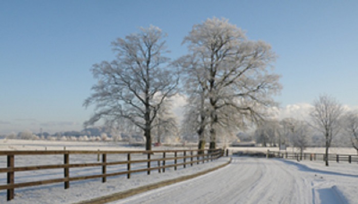 Be Winter-Ready