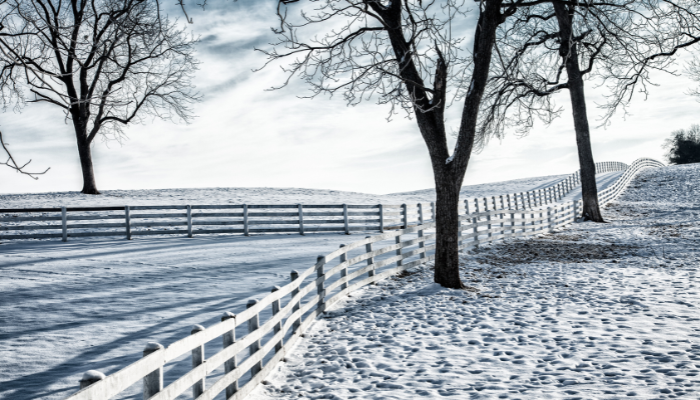 Is Your Farm Winter Ready?