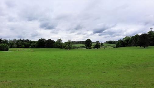 and grassland Featured