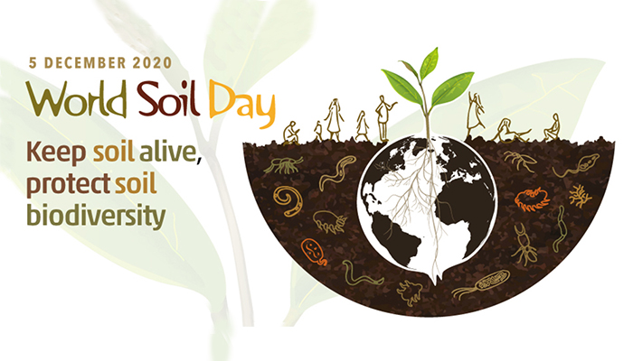 World Soil Day