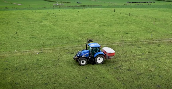 Nitrogen application strategies for grass-white clover swards