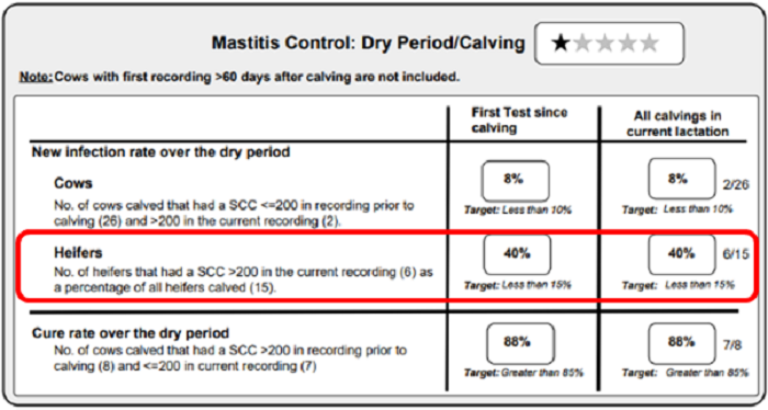 an example of mastitis control dry period calving report