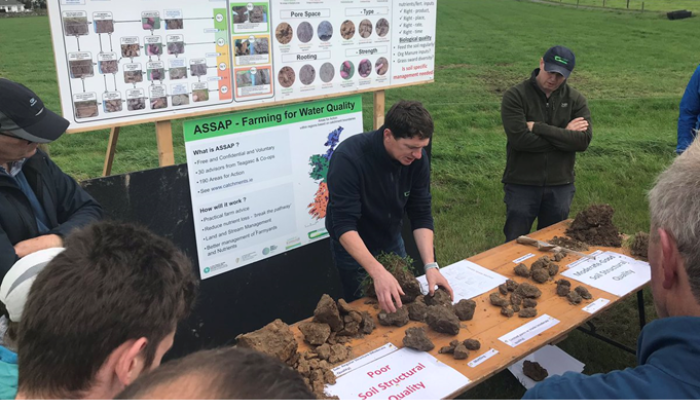 The Soil is Alive & Willing to Help