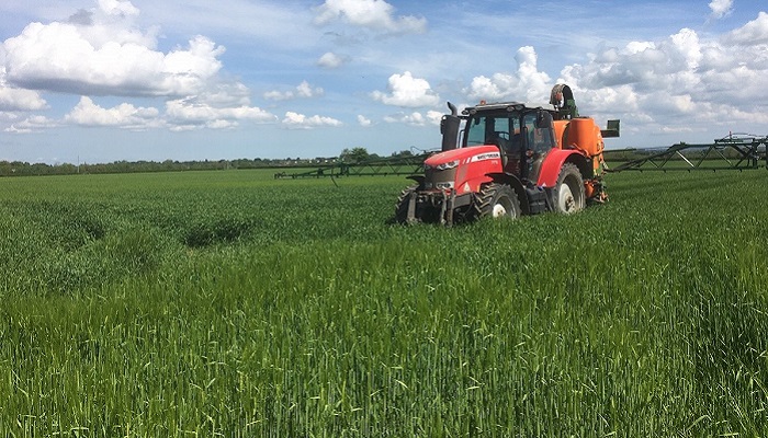 Tillage advice: Fungicide treatments and grass weeds