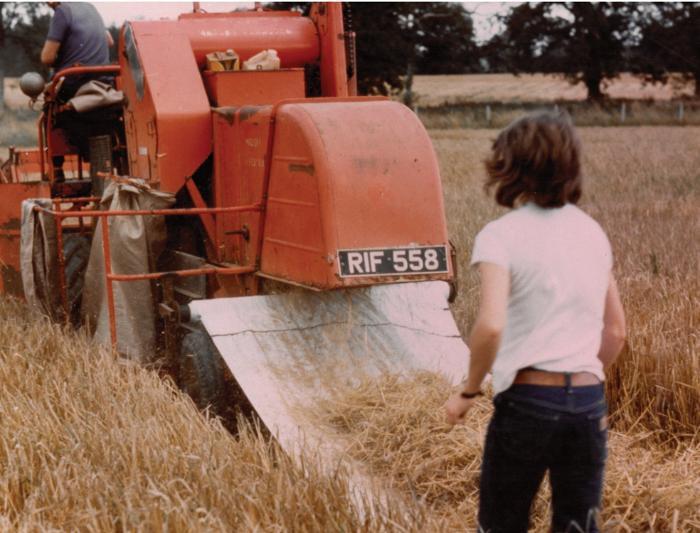 TResearch Summer 2024