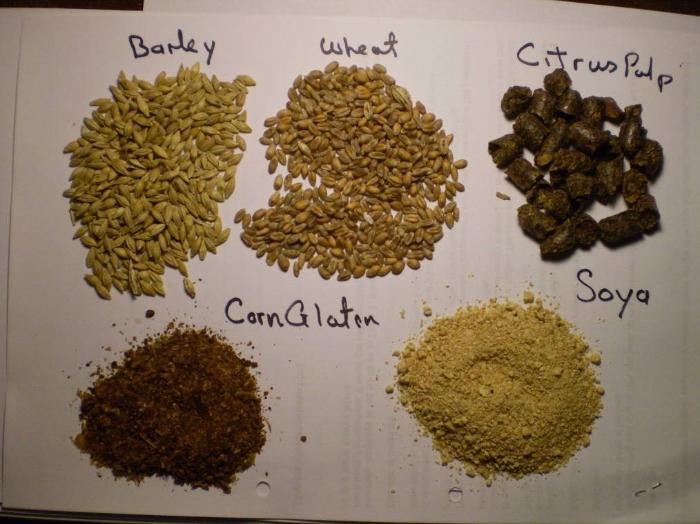 An image of barley wheat citrus pulp corn gluten and soya
