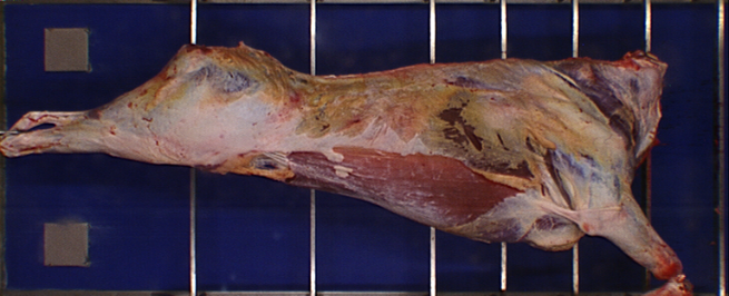 green acres kilkenny