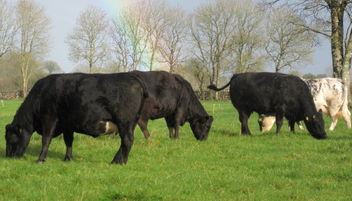 How to make the most out of weighing