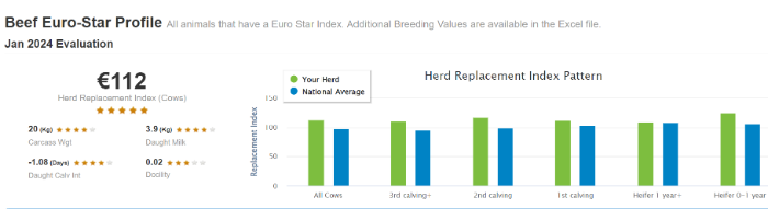 beef euro star profile