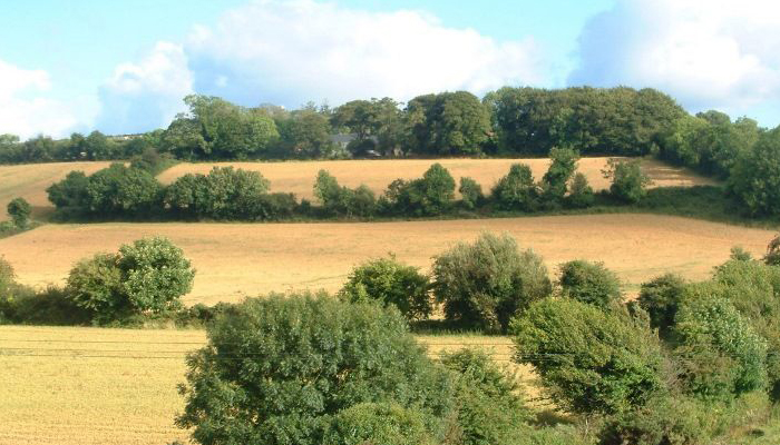 Environment Newsletter - February 2021