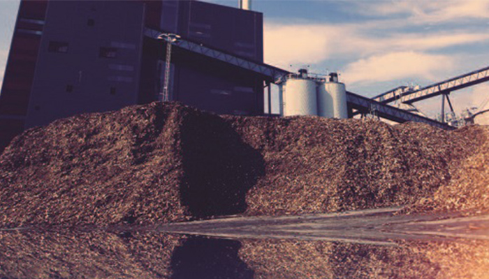 Biomass for Energy