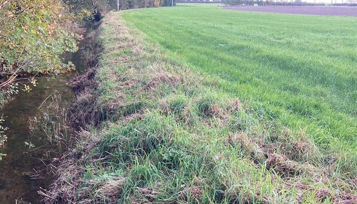 Buffer strips and tillage farming - the benefits and regulatory requirements