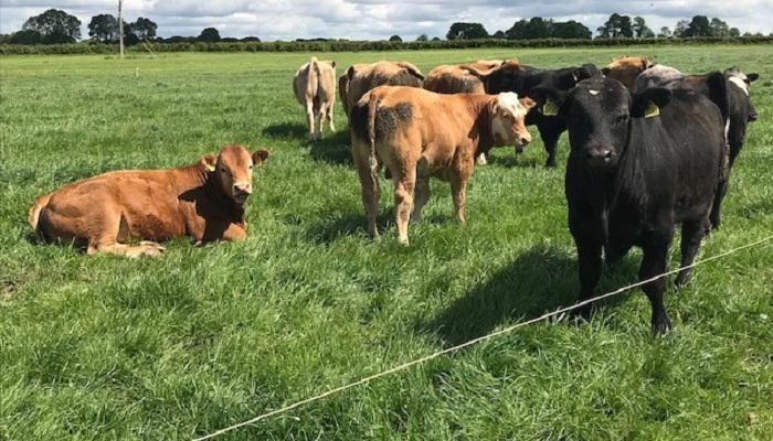Reducing stress on your farm in 2025