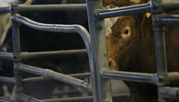 Can we change our behaviour to prevent superbugs?