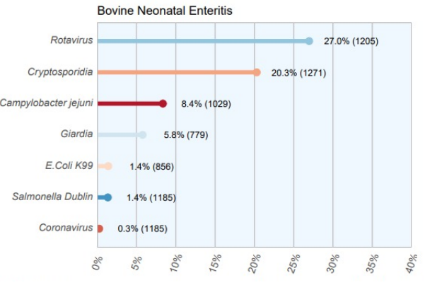 Graph showing the causes of scour diagnosed in RVLs in 2022. By percentage of cases diagnosed, rotavirus was 27%, crypto was 20.3%, camplyobacter jejuni was 8.4%, giardia was 5.8%, E. Coli K99 was 1.4%, salmonella was 1.4% and coronavirus was 0.3%