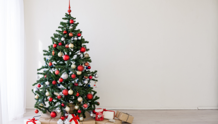 The Christmas tree - a festive focus