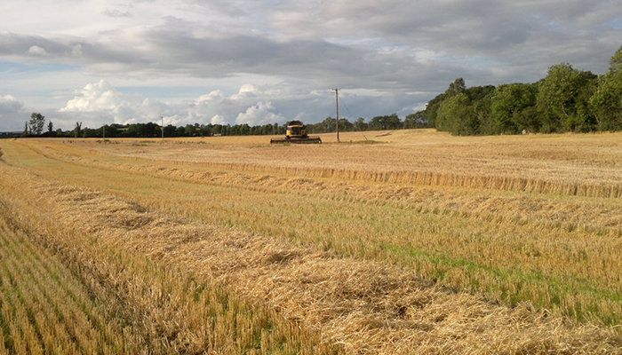 Tillage Update - 10th September