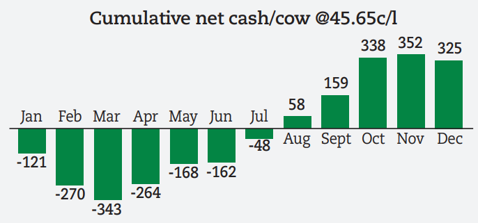 bar chart showing the cumulative net cash per cow per year, the farm is in a negative up until July before moving into a surplus until the end of the year