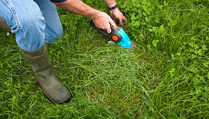 Grass10 Newsletter - 24th May 2022