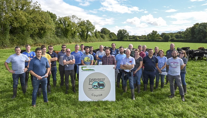 Students graduate from Teagasc dairy calf to beef courses