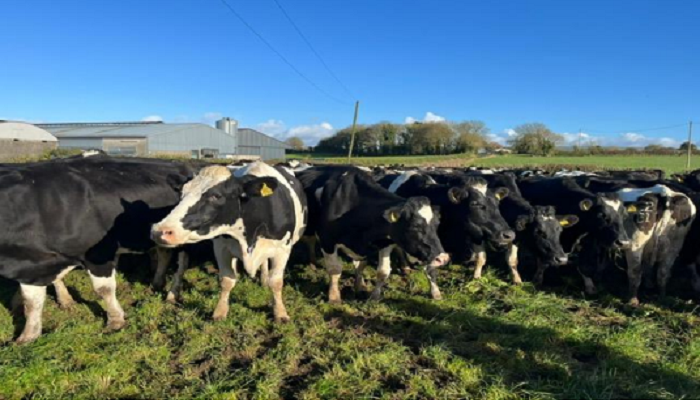 Viewing labour as an asset not a cost