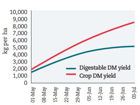 Digestible yield is limited by changes to grass quality post heading