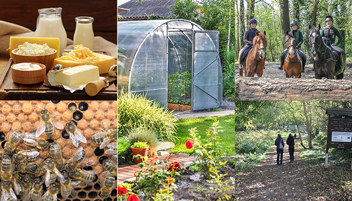 Considering a new business venture?