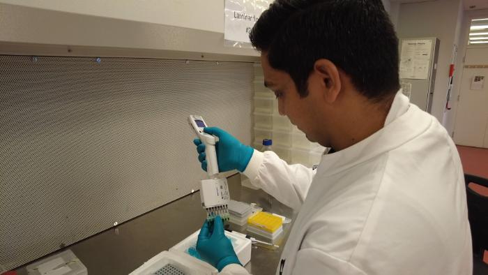 dr dheeraj rathore