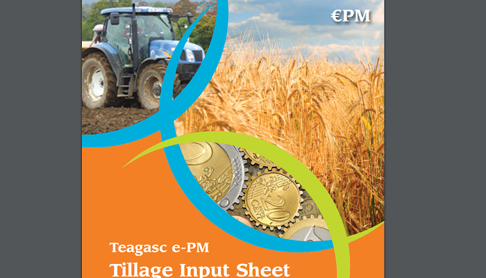 Tillage Update - 7th October 2021